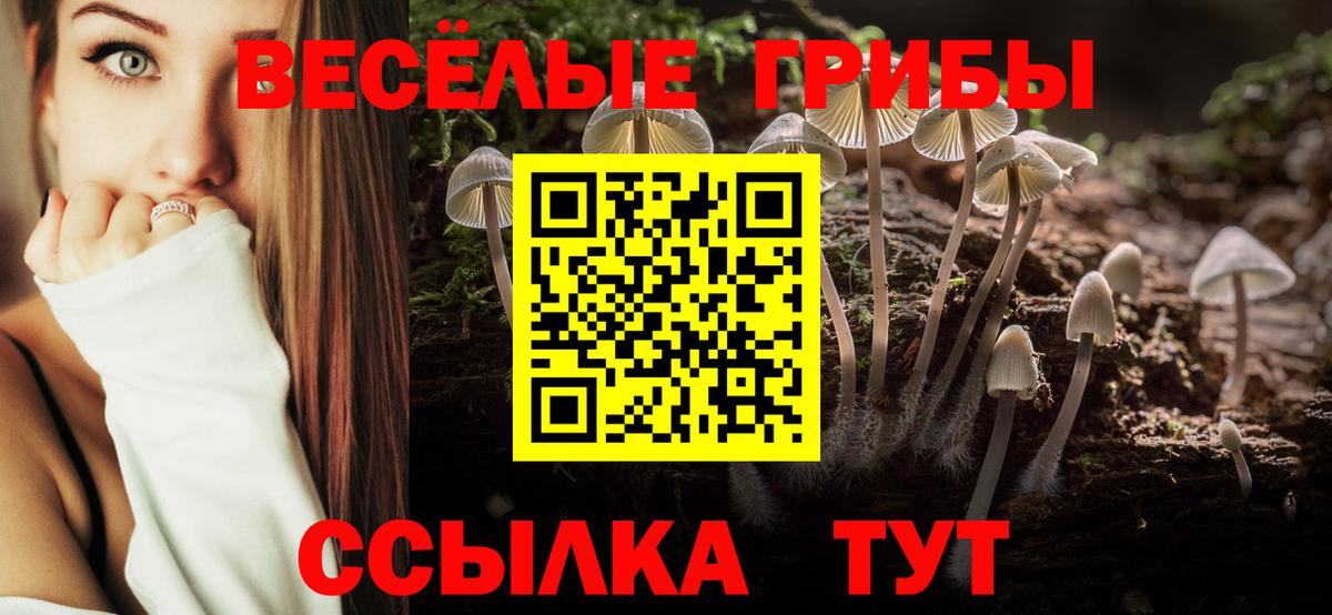 закладка  Галлюциногенные грибы Cubensis  Вход с VPN  Соликамск 